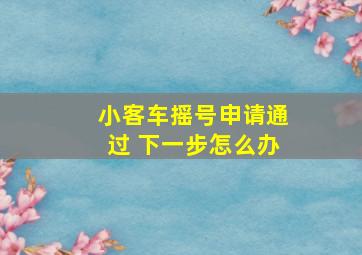 小客车摇号申请通过 下一步怎么办